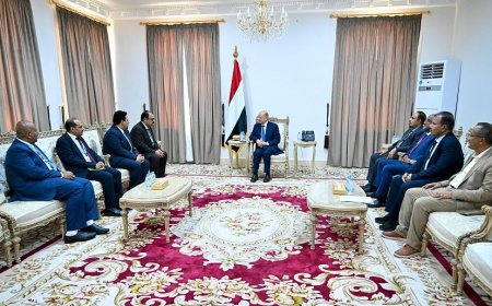 رئيس مجلس القيادة يلتقي وفد الامم المتحدة لخدمات المشاريع