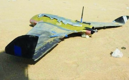 اللواء الثالث حرس حدود يسقط طائرة مسيرة لجماعة الحوثي