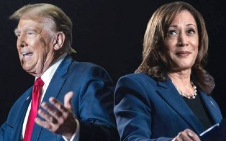 ترمب يخسر 900 مليون دولار.. ما علاقة هاريس