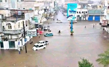 سيول الأمطار تجرف ألغامًا حوثية إلى أراضٍ زراعية غرب تعز وجنوب الحديدة