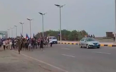 فيديو... لمليونية عشال