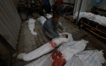 ارتفاع ضحايا غزة ...