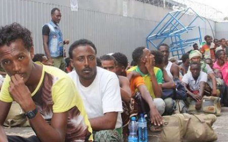 ضبط 150 مهاجراً أفريقياً وصلوا بقارب تهريب إلى سواحل شبوة