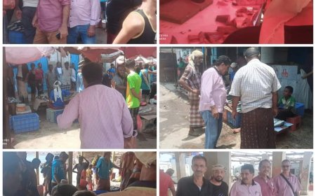 السلطة المحلية في البريقة تنفذ حملة لمراقبة وضبط أسعار الأسماك بأسواق المديرية