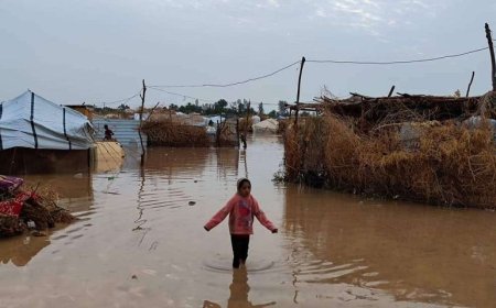 لجان الطوارئ بمأرب تباشر عملها في الانقاذ واصلاح الاضرار في الخدمات العامة جراء الامطار