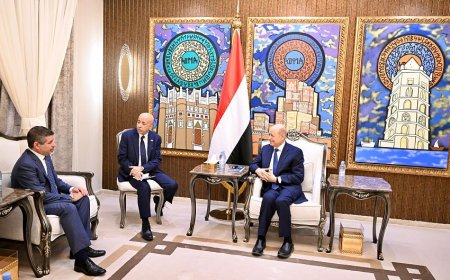 رئيس مجلس القيادة يدعو الى اسناد دولي للجهود الحكومية في مواجهة آثار المتغيرات المناخية