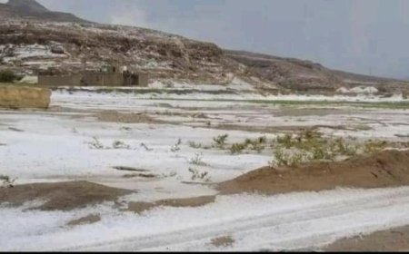 أمطار رعدية مصحوبة بالبرد والعواصف خلال الساعات القادمة