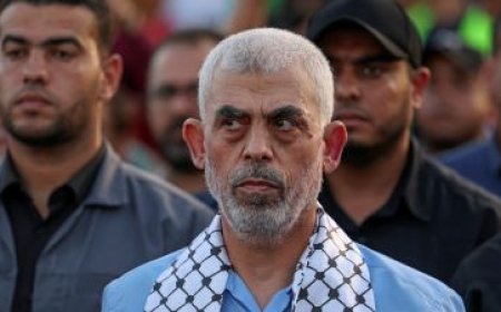 قائد عسكري إسرائيلي: كنا على بعد أمتار من السنوار