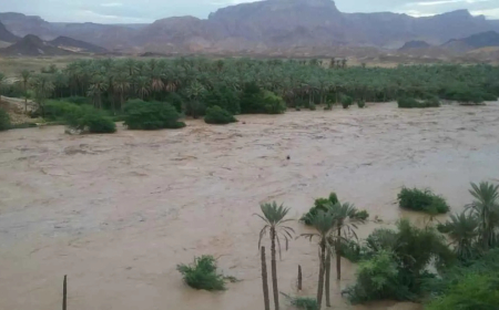 فيديو لإنقاذ شاب يمني لعائلة من الغرق في السيول الجارفة ..