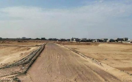 هددت بالتصعيد.. أسر الشهداء تُطالب اللواء الزبيدي بإيقاف الهيئة العامة للأراضي وإحالتها للتحقيق