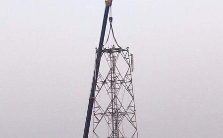 أبناء العريش والصولبان يطالبون القائم بأعمال وزير الاتصالات بإعادة برج الاتصالات في منطقة العريش الى الخدمة