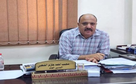 مدير عام المؤسسة العامة للكهرباء يكشف حقيقة تدشين كهرباء تجارية في عدن