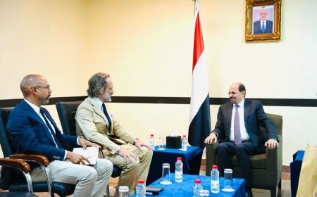 وزير الخارجية يبحث مع المنسق المقيم للأمم المتحدة الاوضاع الإنسانية والإغاثية والتنموية