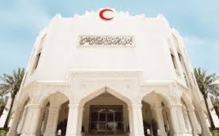 15.5 مليون ريال قطري لفائدة أكثر من 123 ألف يمني..تفاصيل