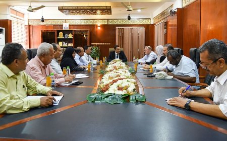 الوزير السقطري يبحث مع ممثل البرنامج الإنمائي التدخلات في القطاع السمكي