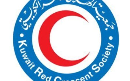 بعد لقاء الرئيس العليمي بوفد كويتي.. وصول دعم كبير من الكويت إلى اليمن