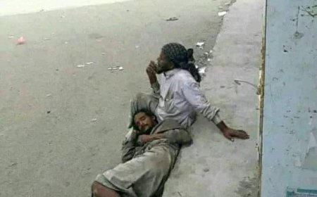 روح البساطة والإنسانية في أعماق الجنون   