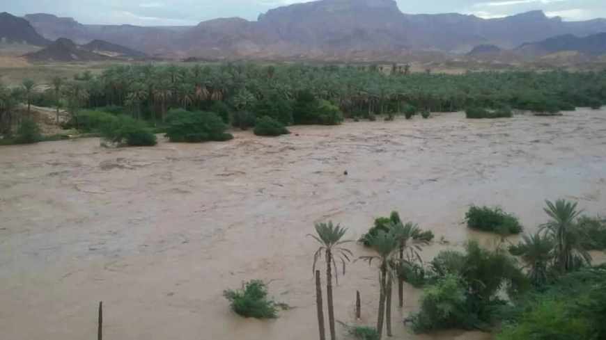 فيديو لإنقاذ شاب يمني لعائلة من الغرق في السيول الجارفة ..