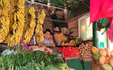 تعرف على أسعار الخضروات والفواكه بعدن 