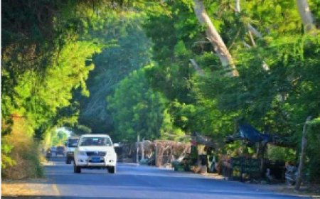 مقتل مواطن بأبين 