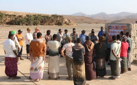 أرخبيل سقطرى تحتفي باليوم العالمي للطيور الجارحة