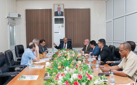 لجنة وزارية برئاسة وزير المالية تناقش احتياجات تعديل قيم رسوم الصناديق