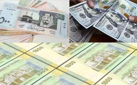 تحذيرات عاجلة من استمرار تدهور العملة قد يعمق الأزمات الاقتصادية