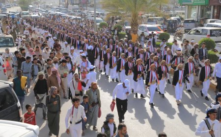 مأرب تحتفل بزفاف 280 عريساً وعروساً من أبناء ذمار في أجواء فرائحية مميزة