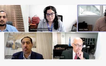 الوزير البكري يناقش مع ممثل اليونسكو آفاق التعاون في مجال التمكين الرقمي والدراية الإعلامية