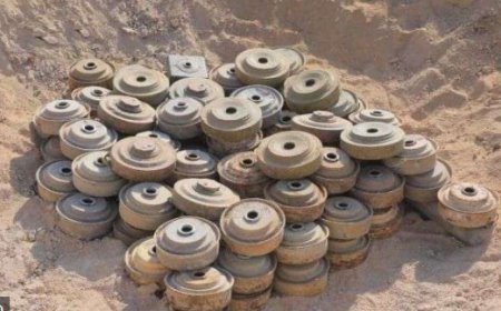 مقتل وإصابة 14 مدنياً بحوادث الألغام في الحديدة الشهر الماضي