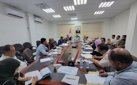 لجنة وزارية تشدد على وضع ضوابط تحافظ على الثروة السمكية والبيئة البحرية