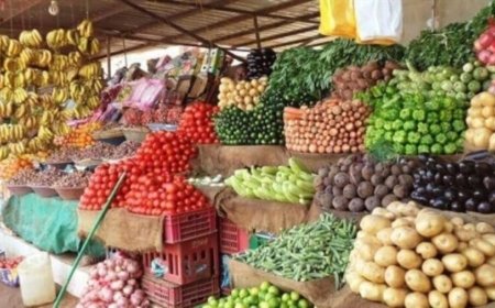 تعرف على أسعار الخضروات والفواكه بعدن