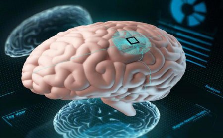 توقف عن تناولها يوميا.. أكلة تؤذي الدماغ وتميت خلايا المخ