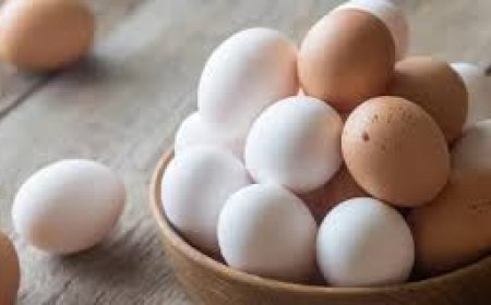 المطبخ أم الثلاجة.. المكان الأمثل لتخزين البيض