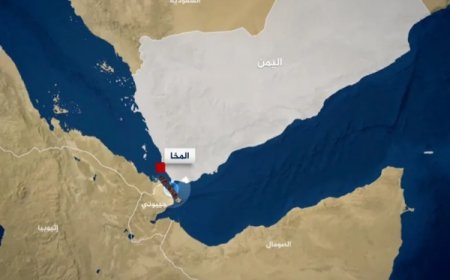 قارب مسير يُطارد سفينة تجارية جنوب ميناء المخا 