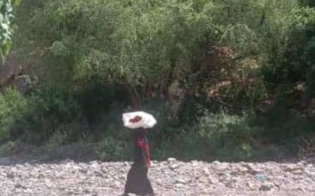 لجح.. نزوح جماعي لسكان عهامة بالمسيمير