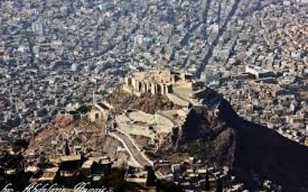 بسبب شجرة.. مدير مدرسة في تعز  يقتل شخصين