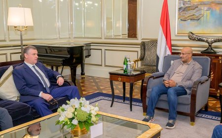 طارق صالح وسلوتسكي يتفقان على استراتيجية تعاون بين البرلمانين اليمني والروسي