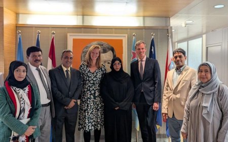 اللجنة الوطنية للتحقيق تلتقي سفير هولندا لدى مجلس حقوق الإنسان بجنيف