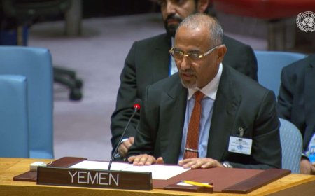 رئيس المجلس الانتقالي الجنوبي يلقي كلمة مهمة أمام مجلس الأمن الدولي