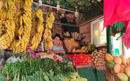 تعرف على أسعار الخضروات والفواكه بعدن