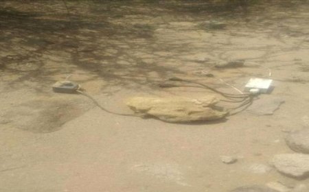 جرفتها السيول.. مواطنون يعثرون على ألغام وعبوات ناسفة غرب تعز