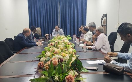 الوزير السقطري يبحث مع البرنامج الإنمائي التدخلات في القطاع السمكي