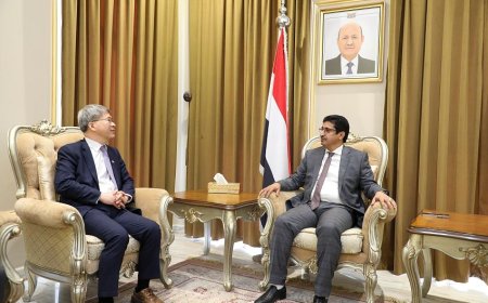 وكيل وزارة الخارجية يبحث مع السفير الكوري مجالات التعاون المشترك