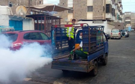 بن جرادي: غدا تنفيذ حملة رش مكثفة للقضاء على البعوض والحشرات الناقلة للأمراض 