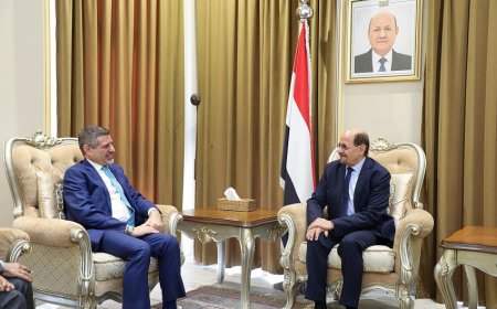 وزير الخارجية يلتقي السفير الأمريكي