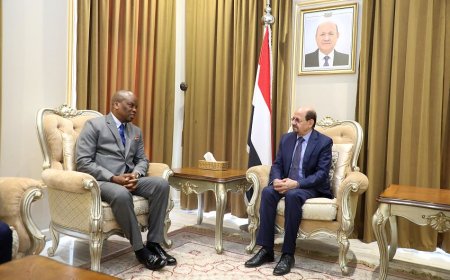 وزير الخارجية مع سفير جمهورية جنوب افريقيا للعلاقات الثنائية