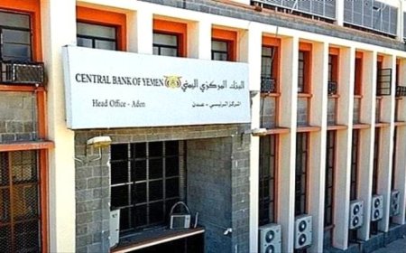 البنك المركزي: هذا السبب الرئيسي للتقلبات الحادة في سعر الصرف 