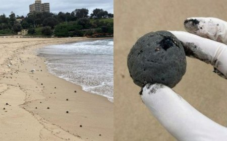 كرات سوداء غامضة تثير الهلع في شواطئ أستراليا.. ما القصة؟