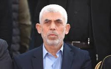 الجيش الإسرائيلي: نحقق في احتمال مقتل السنوار خلال نشاط للجيش في غزة